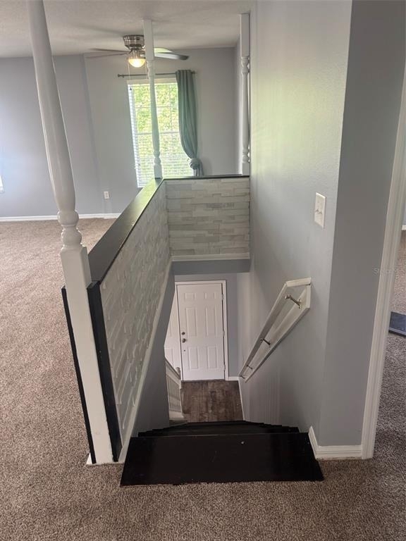 862 Jade Forest Avenue - Photo 15