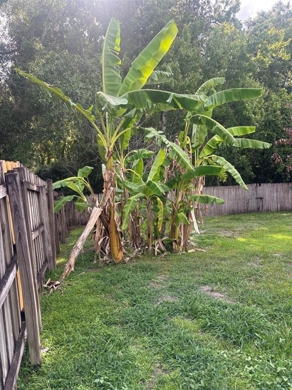 862 Jade Forest Avenue - Photo 21