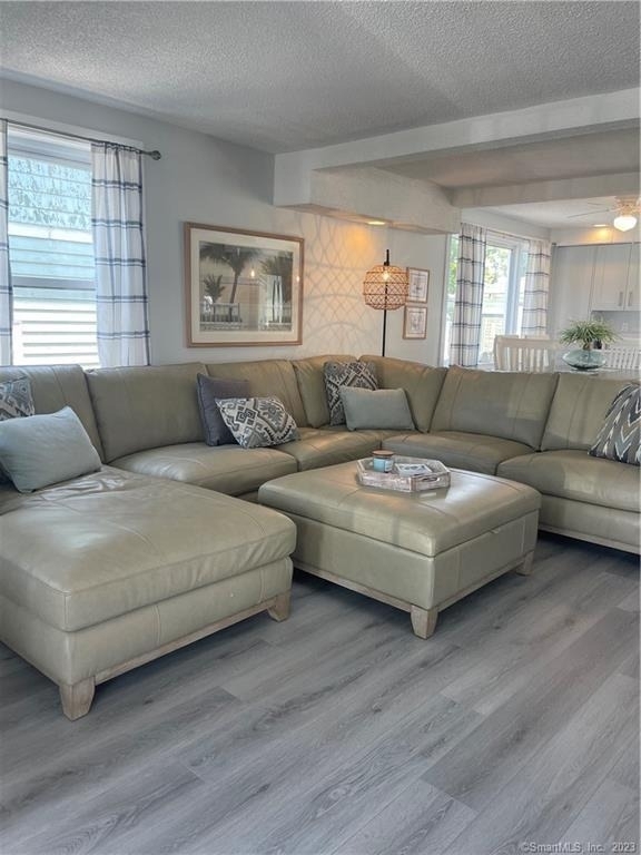 31 Lawrence Avenue - Photo 4
