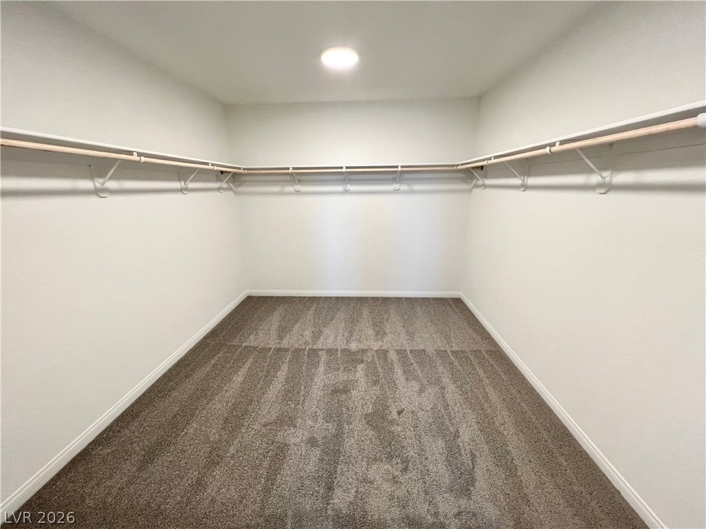 10937 Oregano Avenue - Photo 14