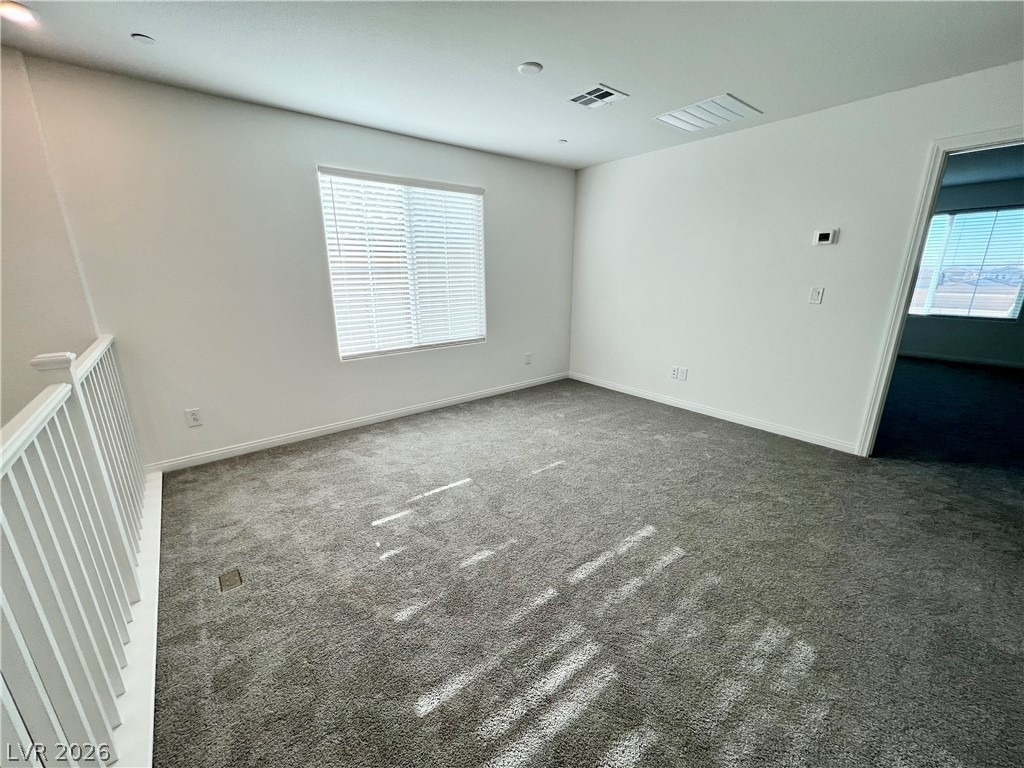 10937 Oregano Avenue - Photo 41