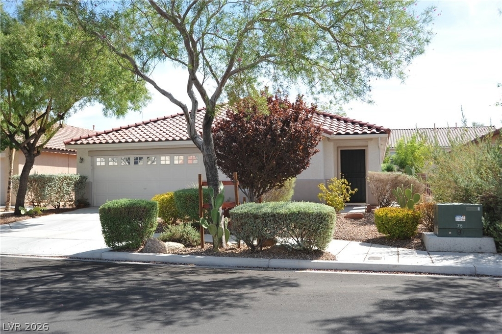 8228 Corset Creek Street - Photo 0