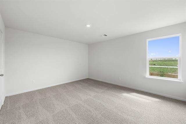 13433 Stage Coach Lane - Photo 10
