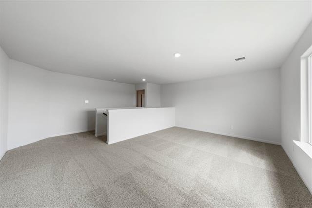 13433 Stage Coach Lane - Photo 9
