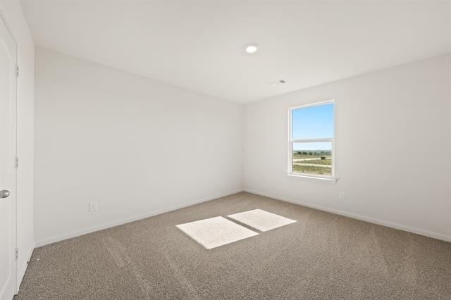 13432 Stage Coach Lane - Photo 10
