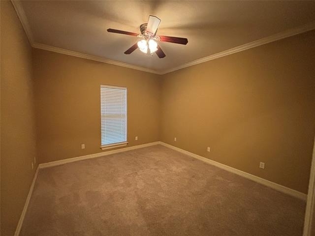 297 Old Palmetto Road - Photo 8