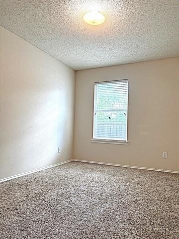 9805 Nixon Drive - Photo 16