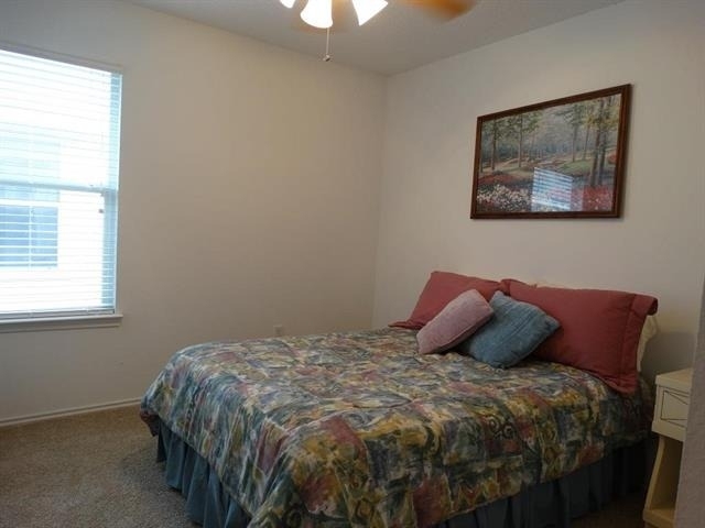 7109 Bountiful Grove Drive - Photo 9