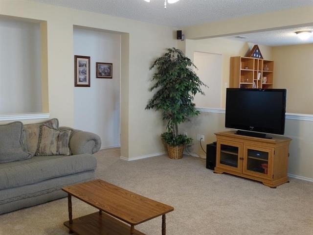 7109 Bountiful Grove Drive - Photo 5