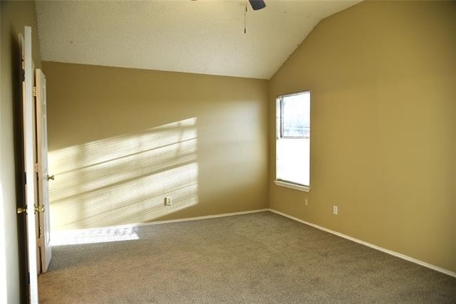 7025 Blalock Drive - Photo 12