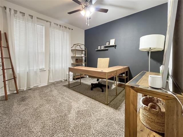 11229 Yellow Rose Way - Photo 5