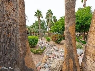 8256 E Arabian Trail - Photo 7