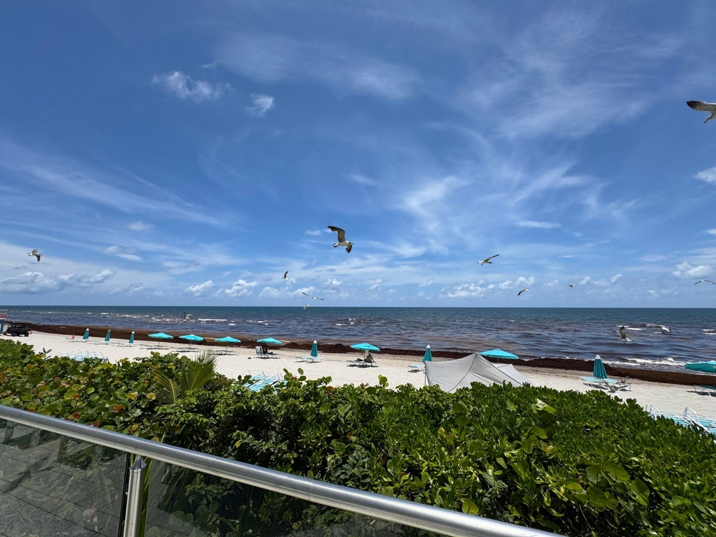 2501 S Ocean Drive - Photo 34