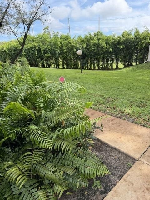 3001 San Clara Drive - Photo 28