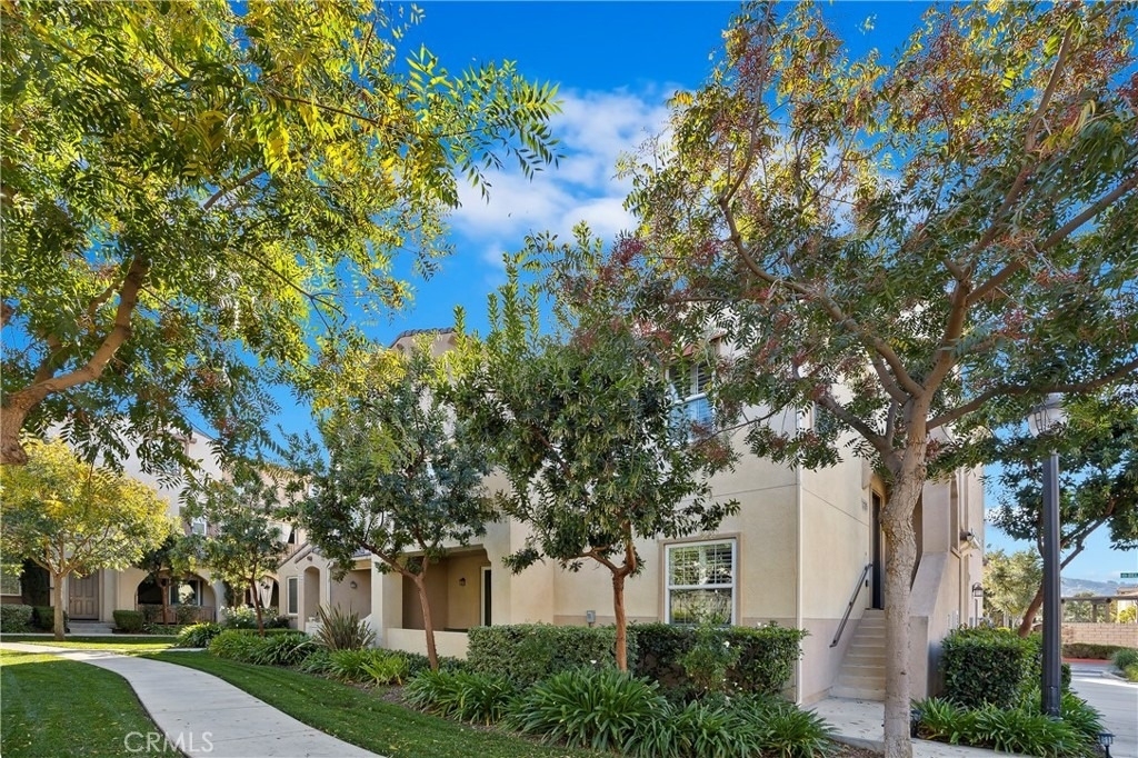 31205 Strawberry Tree Lane - Photo 1