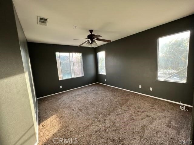 39668 Princeton Way - Photo 20