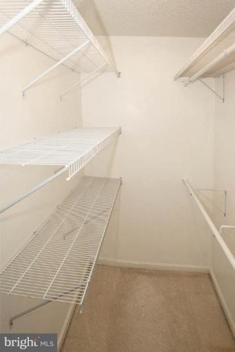 2300 Pimmit Drive - Photo 16