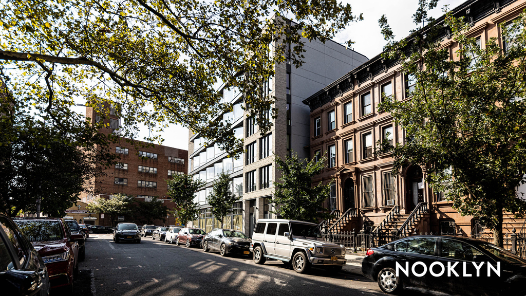 11 Herkimer St 11216 - Photo 17