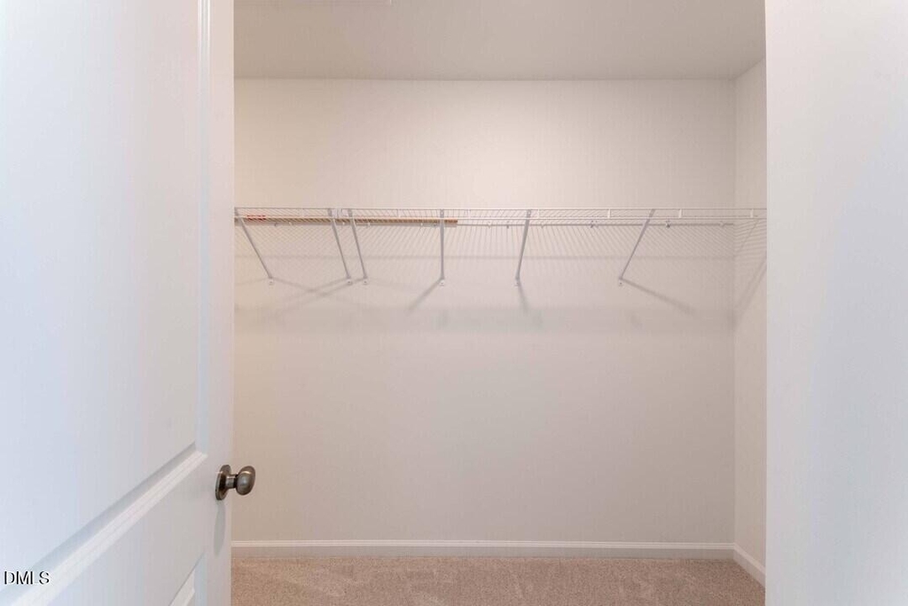2413 Small Branch Trail - Photo 6