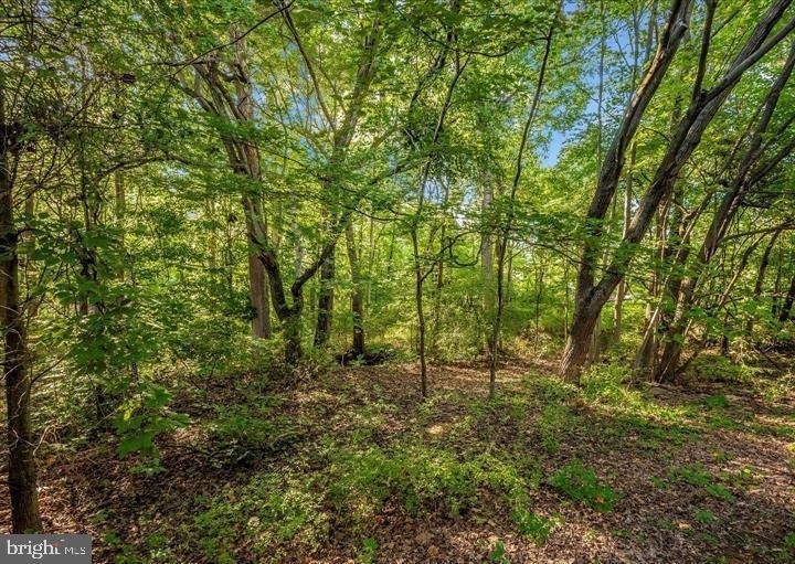 3534 Winthrop Lane - Photo 41