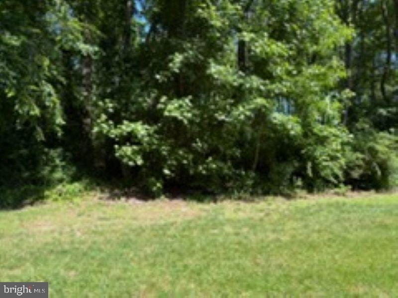 32041 Woods Court - Photo 2
