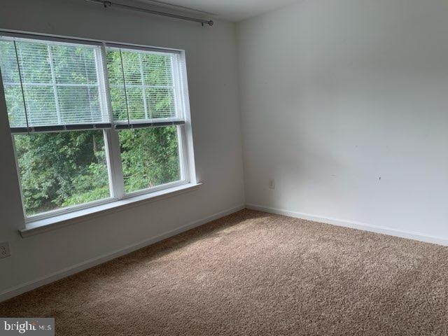 32041 Woods Court - Photo 21