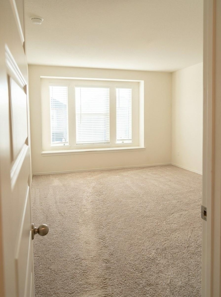 4653 Alfano Loop - Photo 31