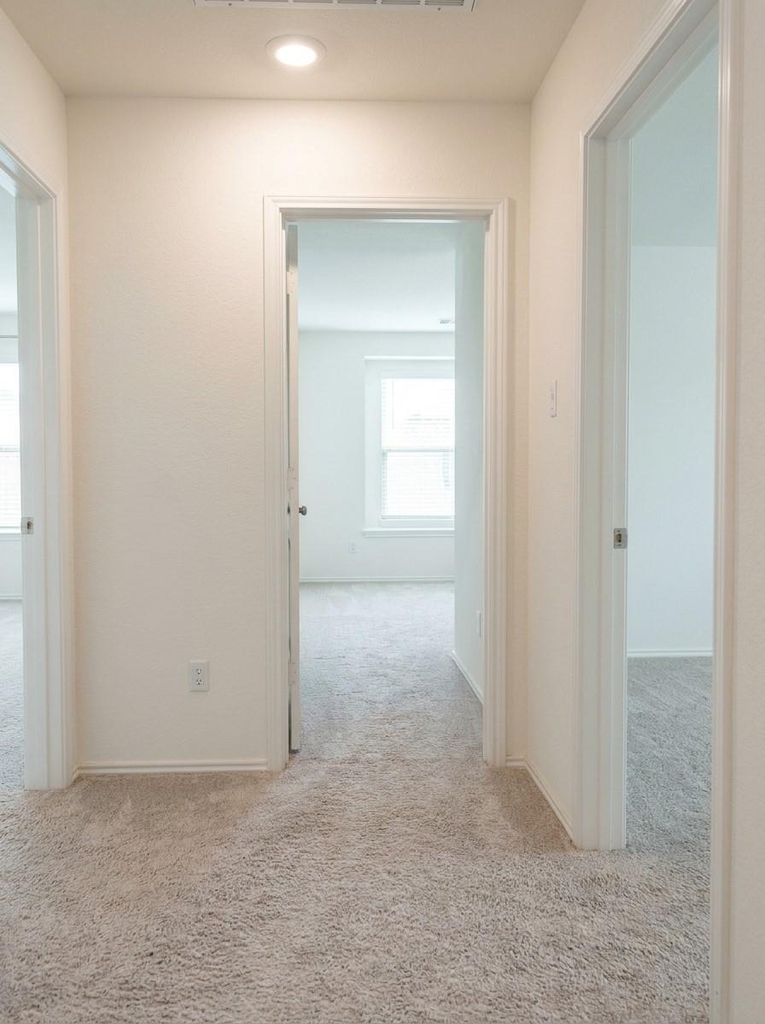 4653 Alfano Loop - Photo 23