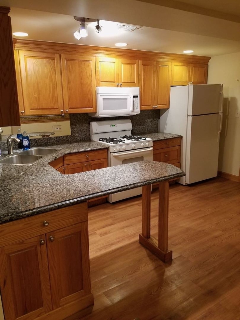 3044 W North Avenue - Photo 1