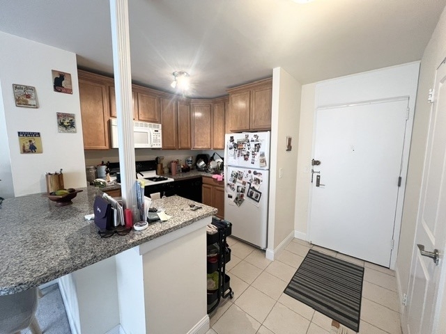 2800 N Lake Shore Drive - Photo 3