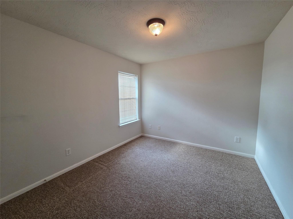 10903 Windfern Lakes Street - Photo 13