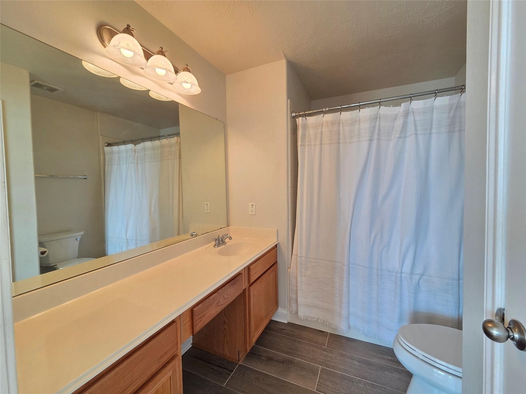 10903 Windfern Lakes Street - Photo 10