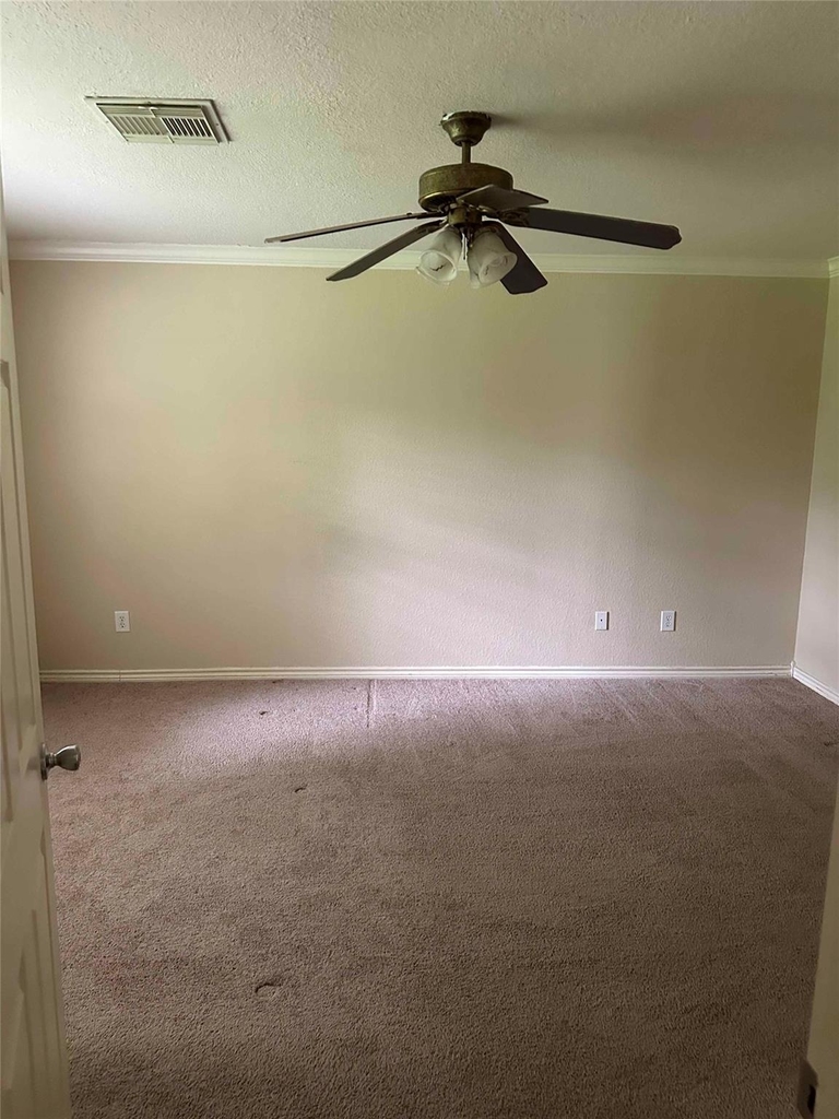 1104 Hidden Oaks Street - Photo 10