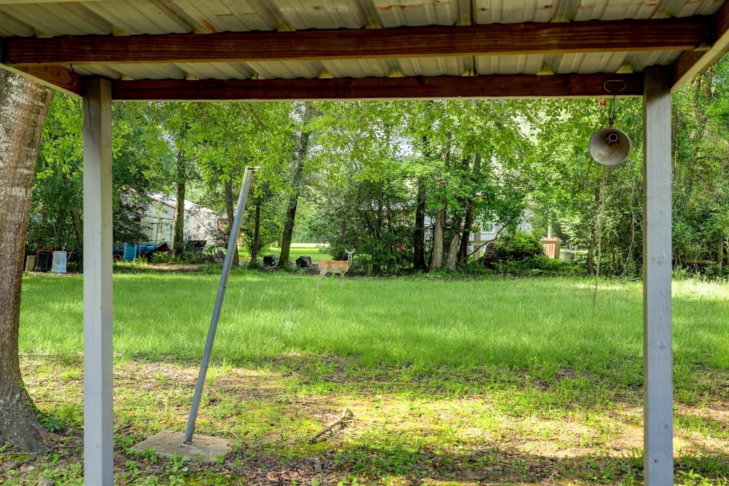 9193 Lucille Lane - Photo 28