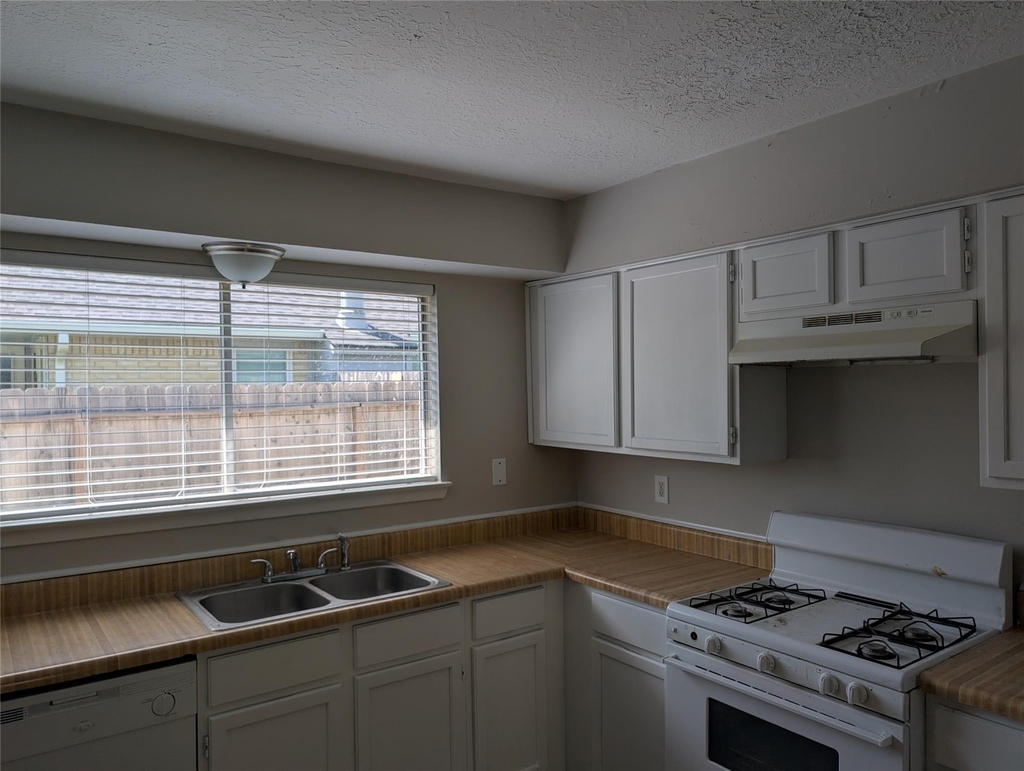 11019 Clear Fork - Photo 4