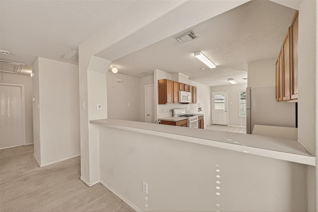 19119 Yaupon Ranch Drive - Photo 13