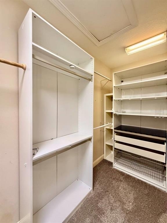 5405 Cafrey Place - Photo 26