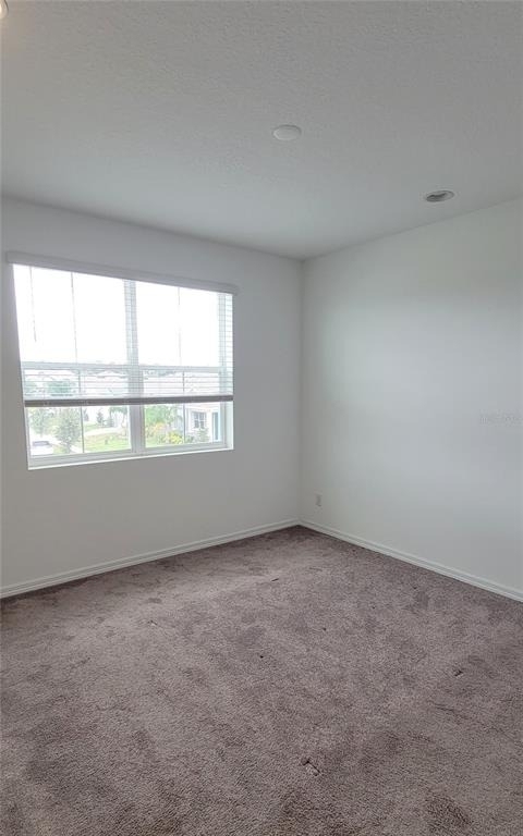 2127 Brillante Drive - Photo 9