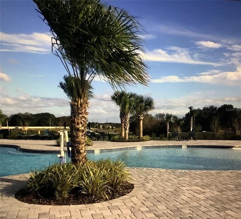 569 Disa Drive - Photo 12