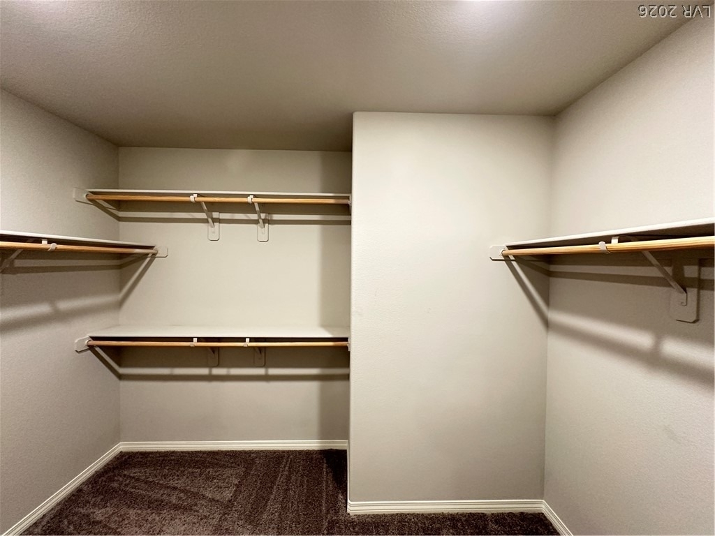 5370 White Butterfly Street - Photo 11