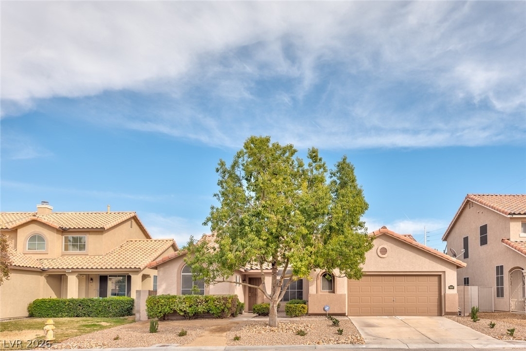 8880 Wallaby Lane - Photo 0