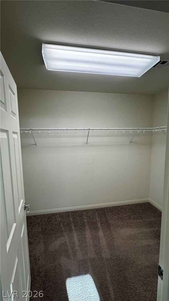 9896 Panther Hollow Street - Photo 30
