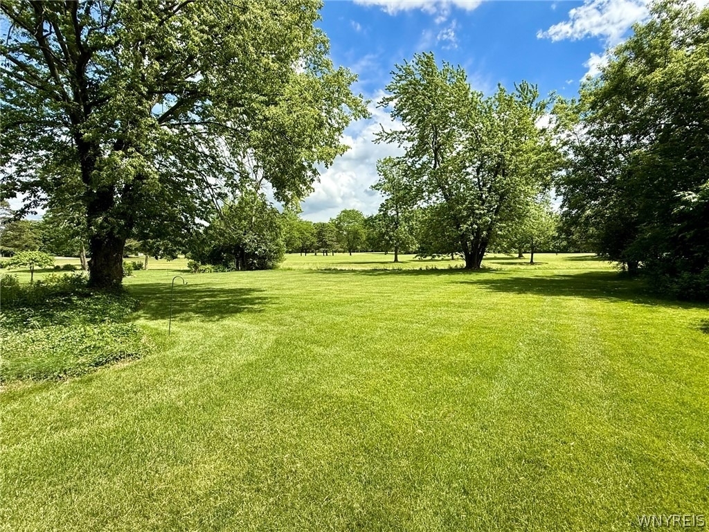 5125 Forest Road - Photo 4