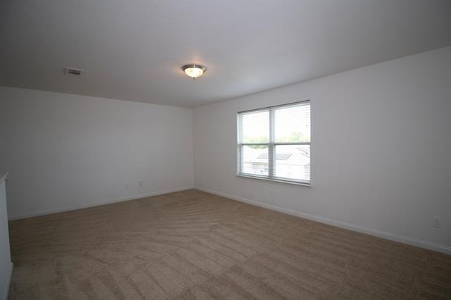 223 Magnolia Drive - Photo 13