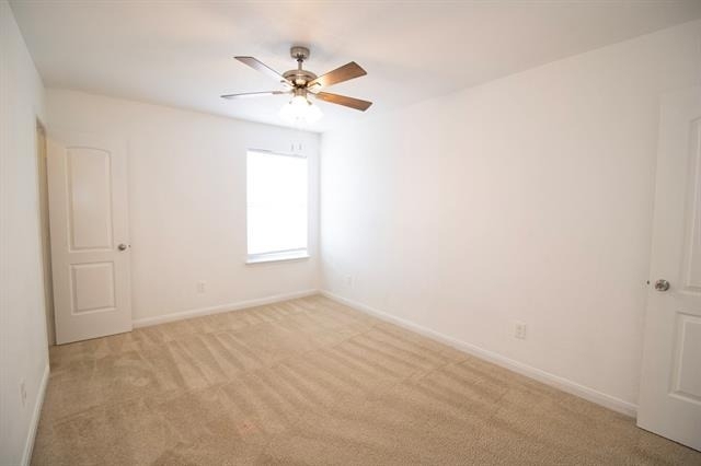 223 Magnolia Drive - Photo 21