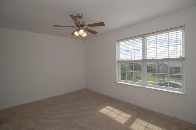 223 Magnolia Drive - Photo 25