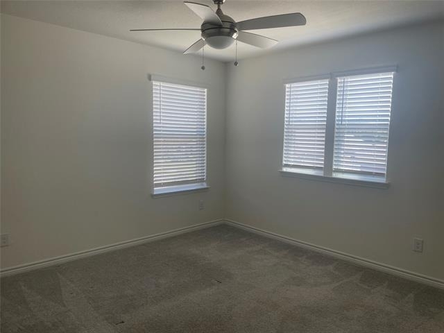 8921 Bison Creek Drive - Photo 9