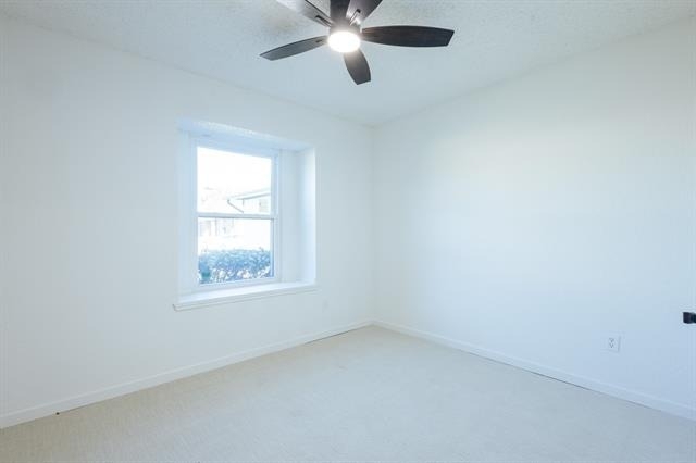 3921 Teaberry Lane - Photo 12