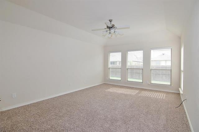 11398 Caladium Lane - Photo 13