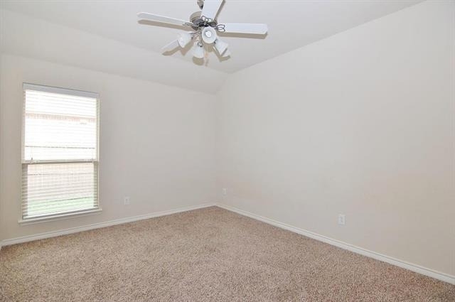 11398 Caladium Lane - Photo 16
